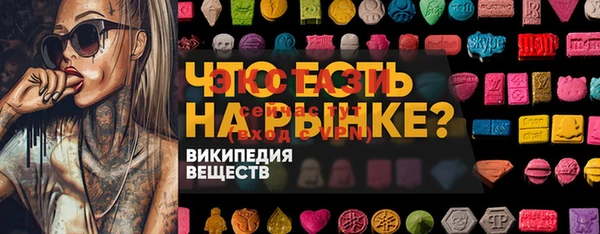 гашик Алзамай
