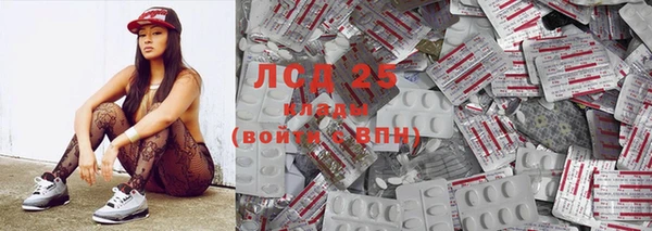 гашик Алзамай
