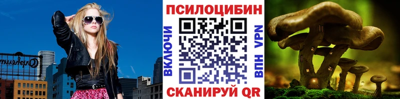 Галлюциногенные грибы Psilocybe Старая Купавна